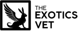 The Exotic Vet